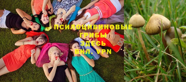 первитин Волосово