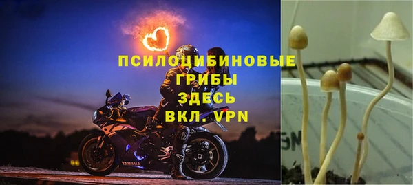 индика Верея