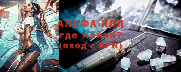 индика Верея