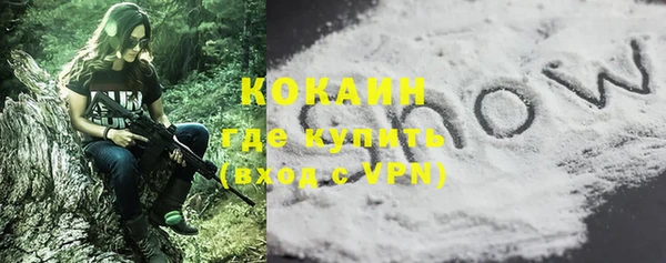 индика Верея