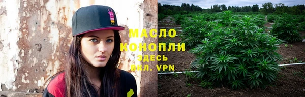 индика Верея