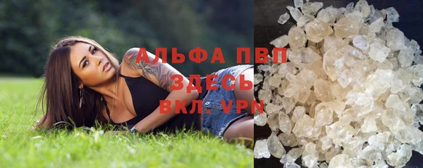 индика Верея